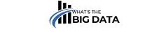 Whatsthebigdata logo