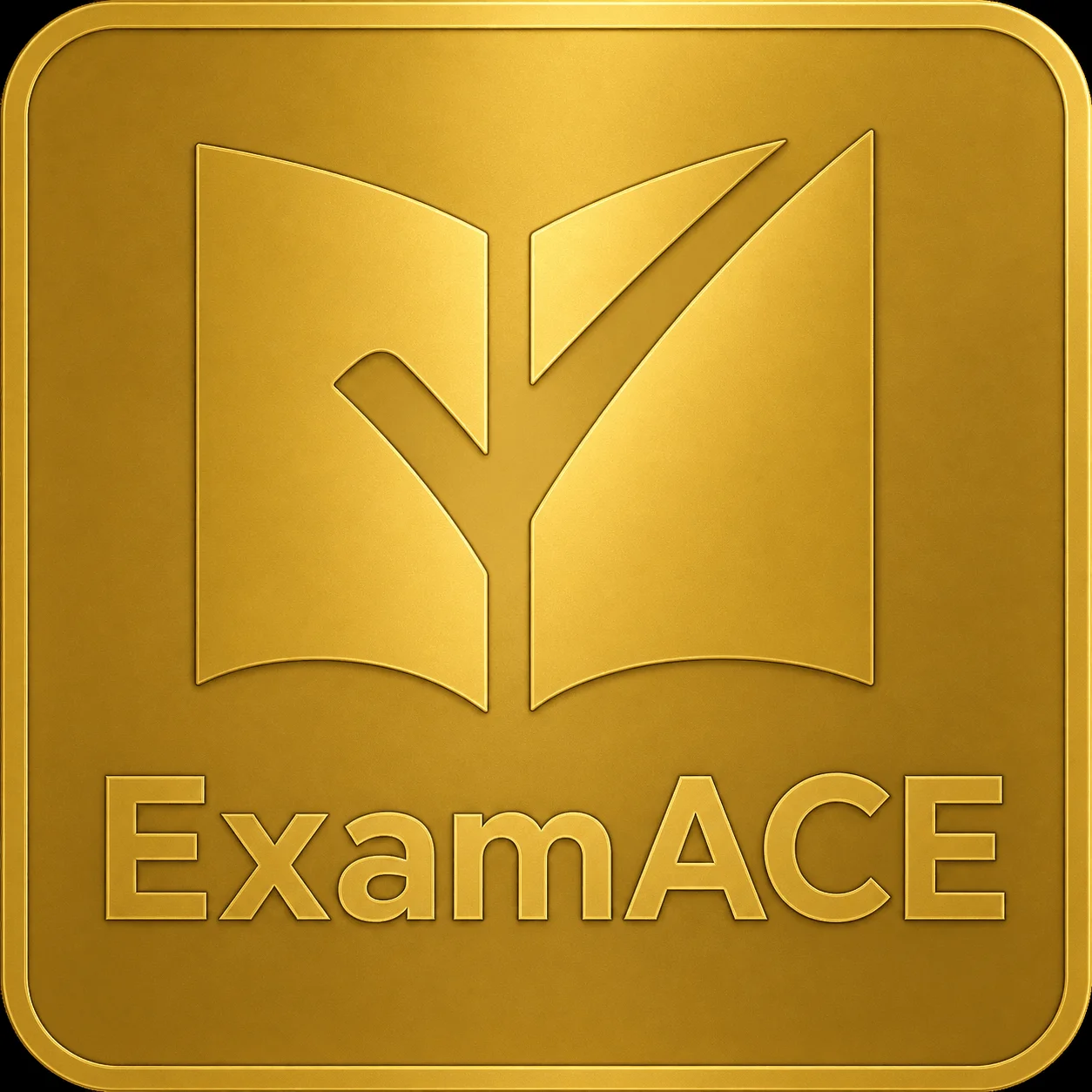ExamACE logo