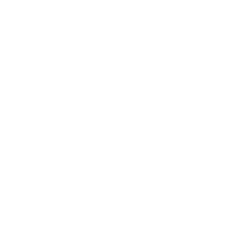 RankYourAI logo