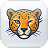 CourseCheetah logo