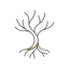 Roots - Calm Mind Wisdom logo